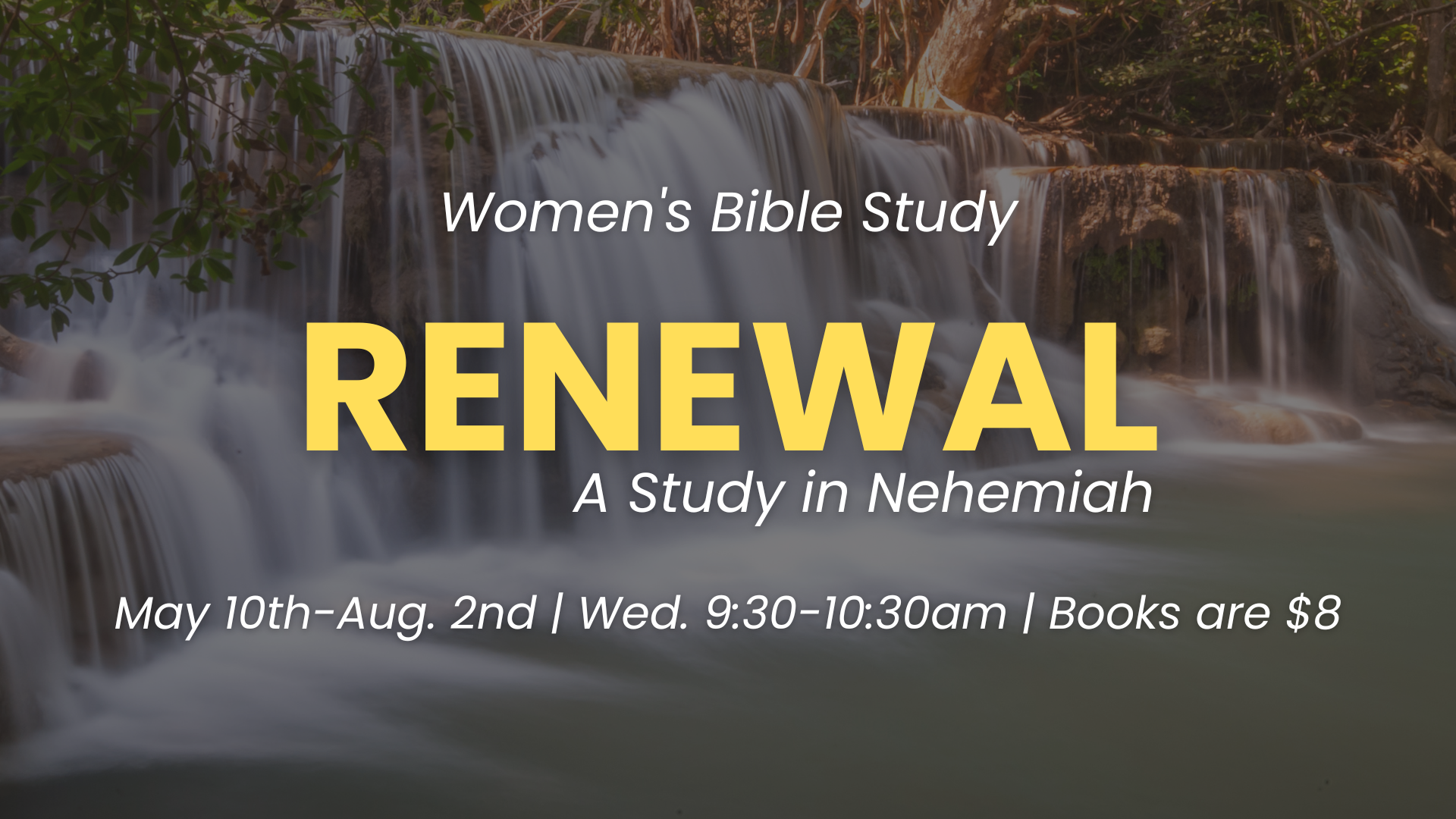 Women's Bible Study May 2023