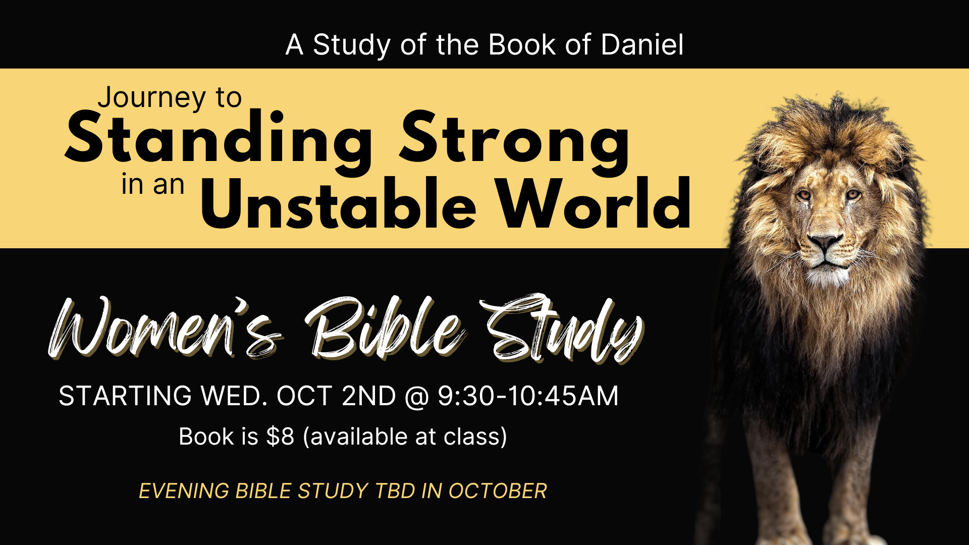 Women's bible study fall 24'